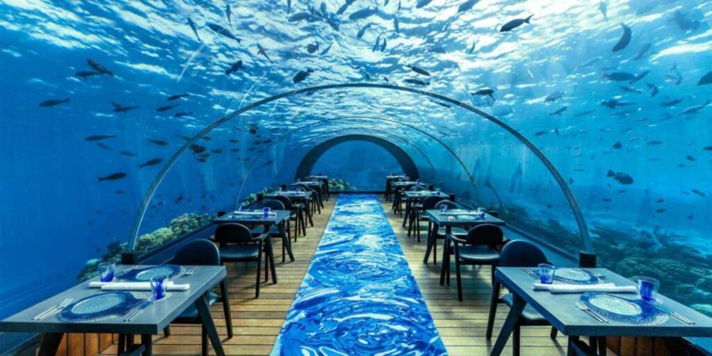 Ithaa Undersea Restaurant Maldives Attraction
