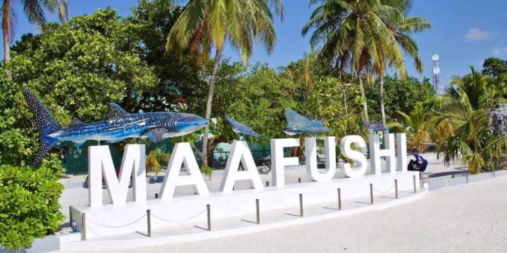 Maafushi Islands Maldives Attraction