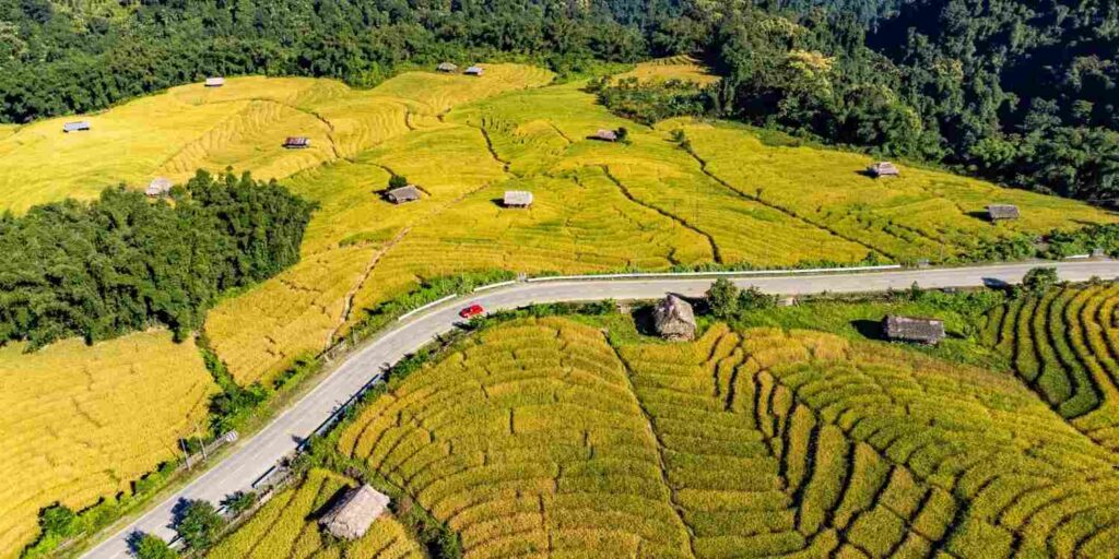 Ziro Valley Honeymoon