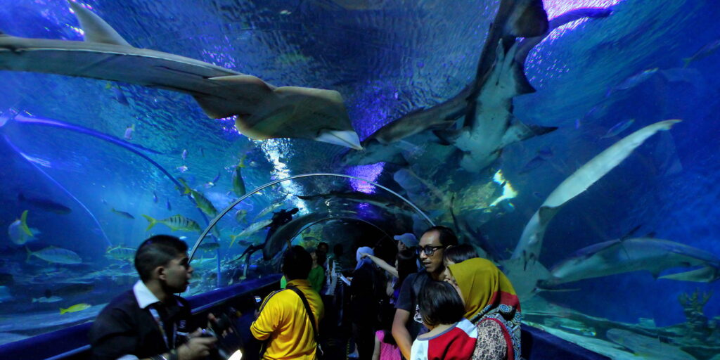 aquaria
