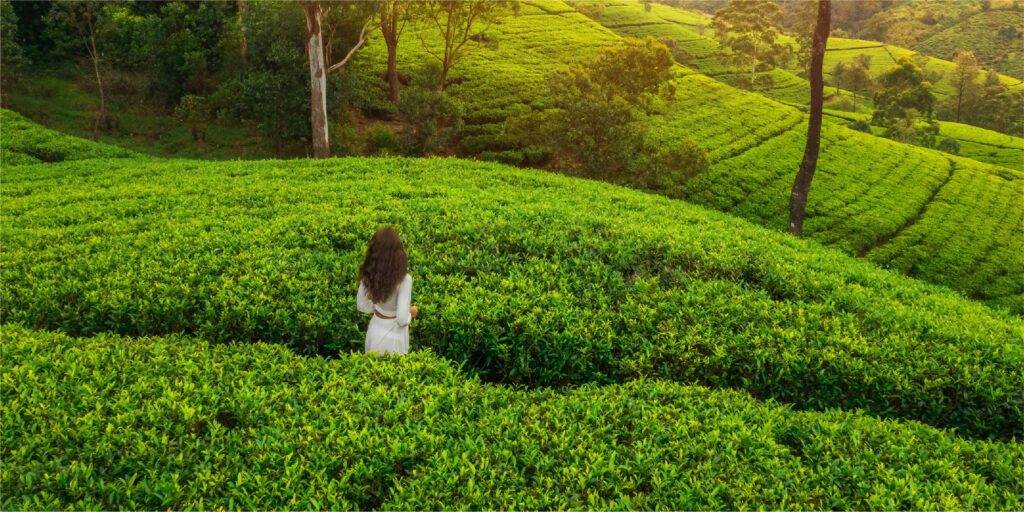 Nuwara