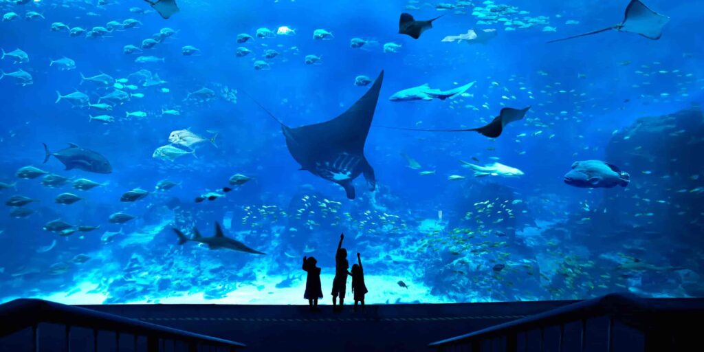 aquarium 