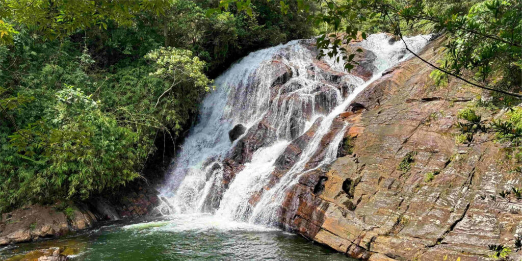sinharaja