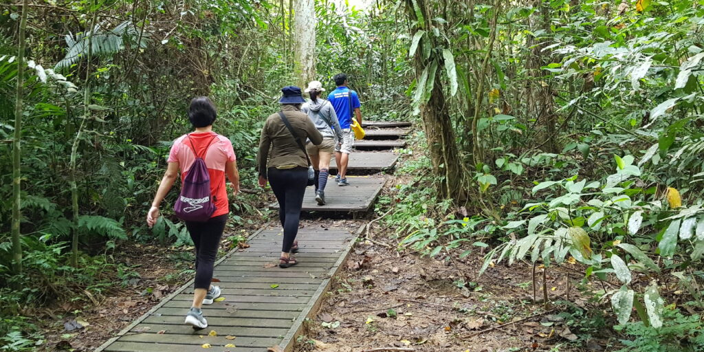 Taman