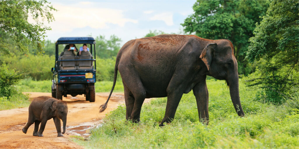 Udawalawe