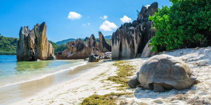 travel-rethink-ways