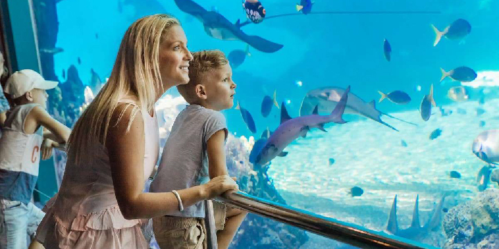 Seaworld