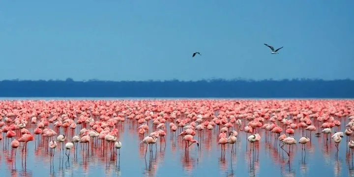 lake