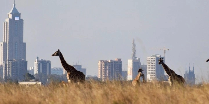 Nairobi