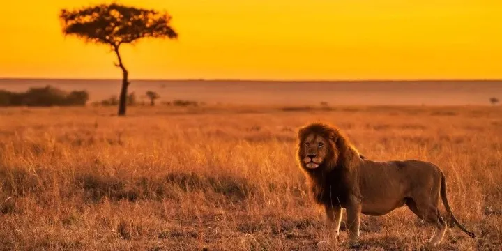 kenya-cover