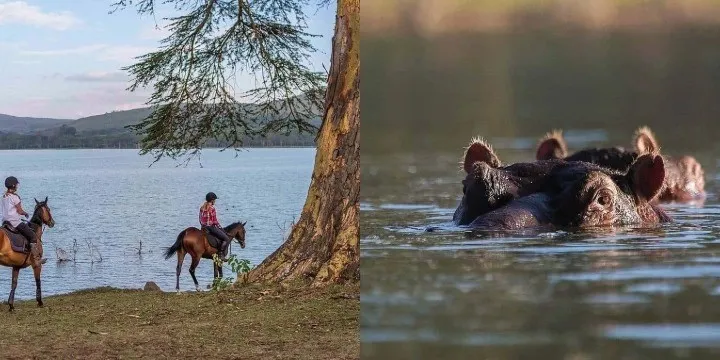 lake