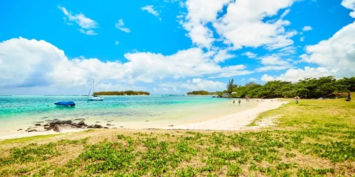 Blue-Bay-Marine