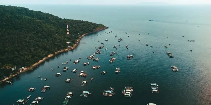 CatBaisland