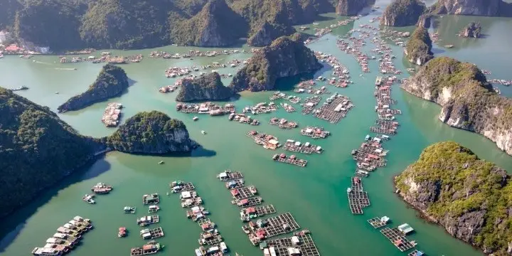 cham-island