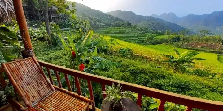 puluong