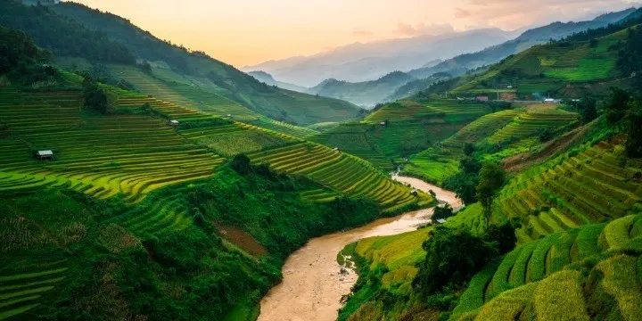 Sapa