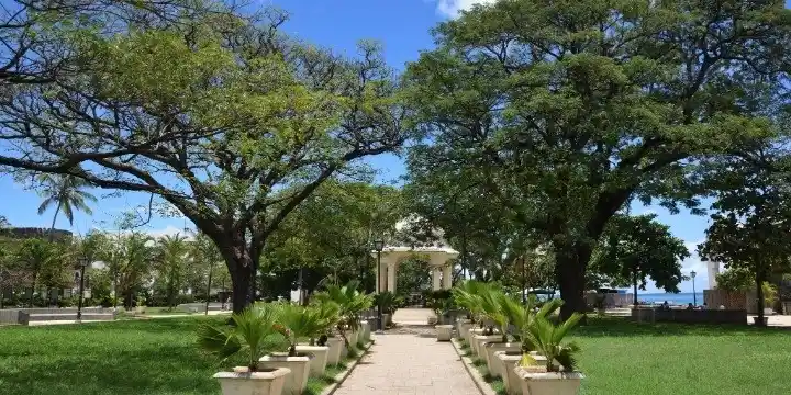 Tanzania Attractions: 33 Incredible Safari, Zanzibar & Nature Experiences to Explore in 2026 | Travel Rethink Ways 26 Forodhani