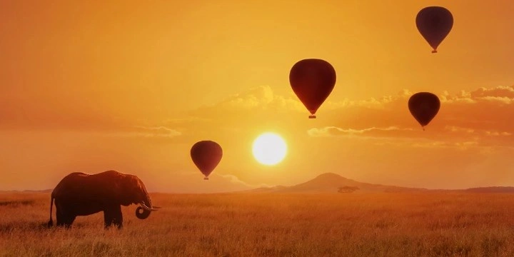 Tanzania Attractions: 33 Incredible Safari, Zanzibar & Nature Experiences to Explore in 2026 | Travel Rethink Ways 30 Hot