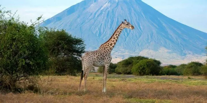Tanzania Attractions: 33 Incredible Safari, Zanzibar & Nature Experiences to Explore in 2026 | Travel Rethink Ways 13 LakeNatron