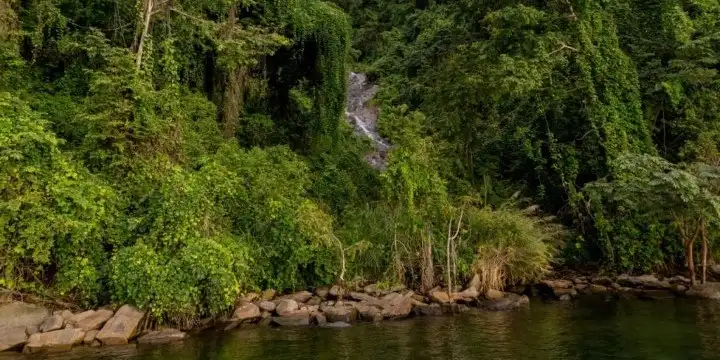 Tanzania Attractions: 33 Incredible Safari, Zanzibar & Nature Experiences to Explore in 2026 | Travel Rethink Ways 14 Mahale