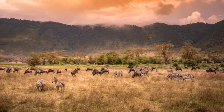 Tanzania Attractions: 33 Incredible Safari, Zanzibar & Nature Experiences to Explore in 2026 | Travel Rethink Ways 3 NgorongoroCrater.