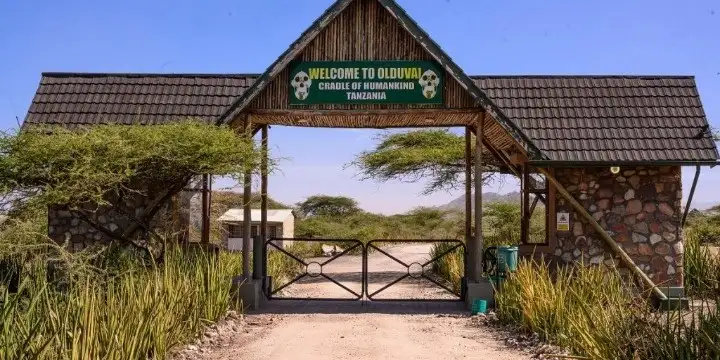 Tanzania Attractions: 33 Incredible Safari, Zanzibar & Nature Experiences to Explore in 2026 | Travel Rethink Ways 12 Olduvai.