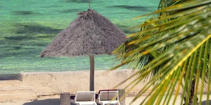 Tanzania Attractions: 33 Incredible Safari, Zanzibar & Nature Experiences to Explore in 2026 | Travel Rethink Ways 19 Paje.
