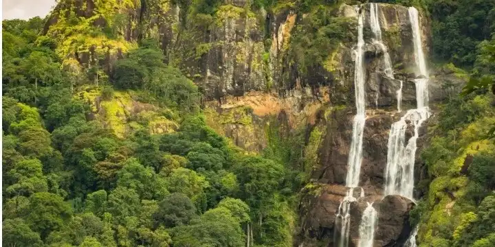 Tanzania Attractions: 33 Incredible Safari, Zanzibar & Nature Experiences to Explore in 2026 | Travel Rethink Ways 15 Udzungwa
