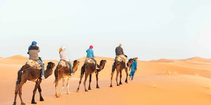 25 Best Attractions in Qatar 2026 | Travel Rethink Ways 11 Camel-riding