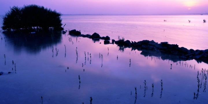 25 Best Attractions in Qatar 2026 | Travel Rethink Ways 17 purple