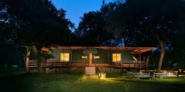 Jungle-Hut