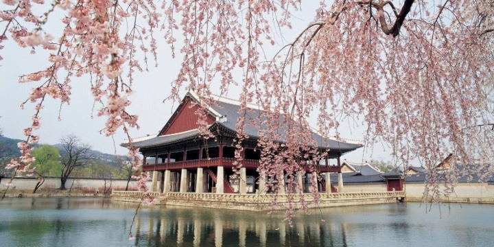 South Korea Attractions: 30 Must-Visit Places & Experiences for an Unforgettable Trip| Travel Rethink Ways 2 Gyeonbokgung-Palace