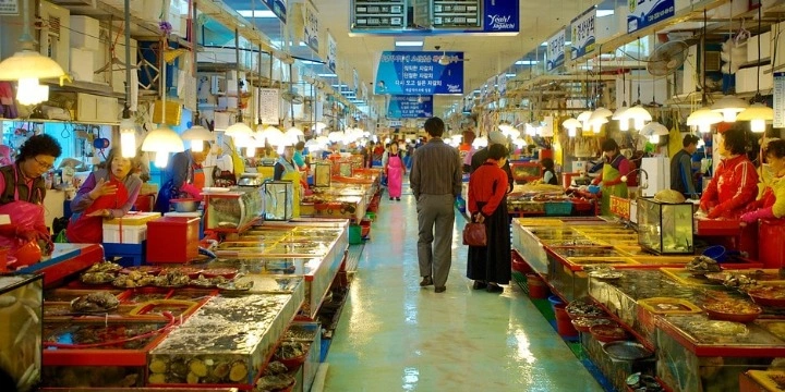 South Korea Attractions: 30 Must-Visit Places & Experiences for an Unforgettable Trip| Travel Rethink Ways 24 Jagalchi-Fish-Market