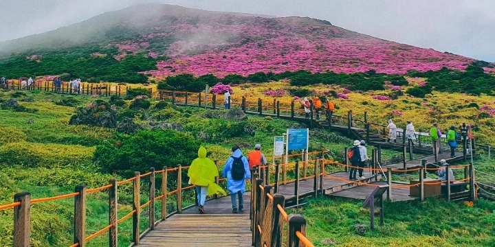 South Korea Attractions: 30 Must-Visit Places & Experiences for an Unforgettable Trip| Travel Rethink Ways 18 Jeju-Island.