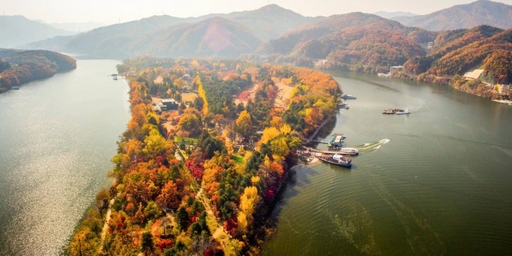 South Korea Attractions: 30 Must-Visit Places & Experiences for an Unforgettable Trip| Travel Rethink Ways 15 Nami-Island