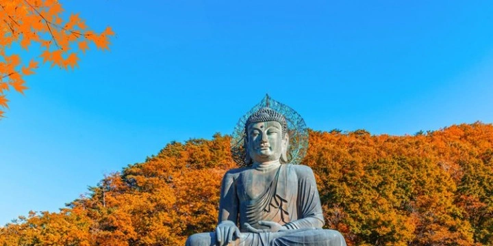 South Korea Attractions: 30 Must-Visit Places & Experiences for an Unforgettable Trip| Travel Rethink Ways 16 Seoraksan-