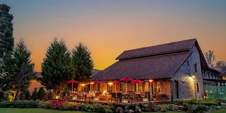 50 Heritage & Boutique Hotels in Tamil Nadu for a Unique Stay Experience 27 tamarai.