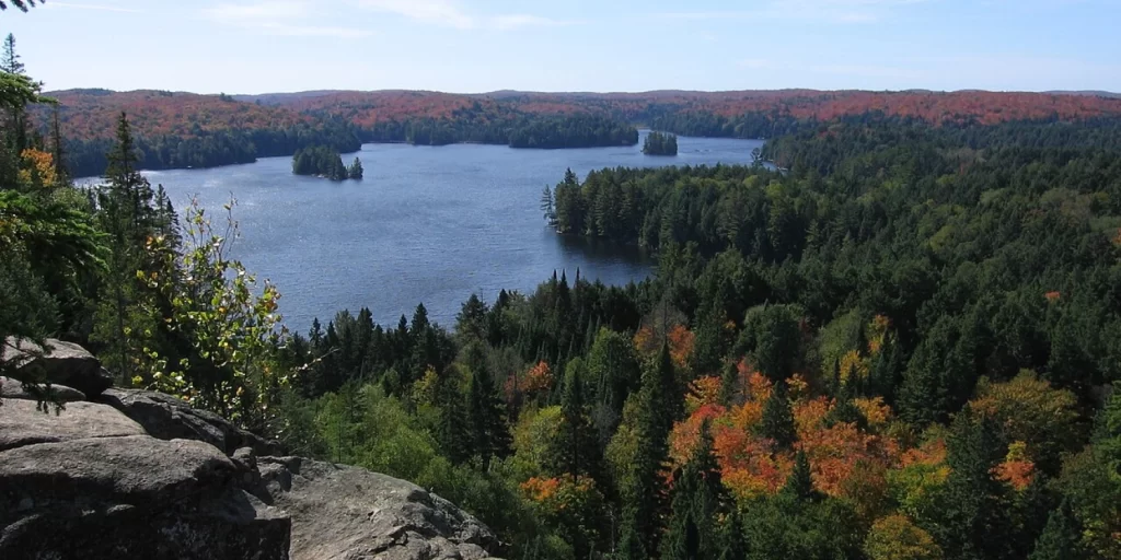 trw Canada Algonquin Provincial Park 27
