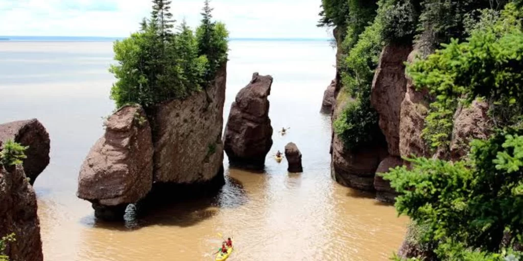 trw Canada Bay of Fundy 20