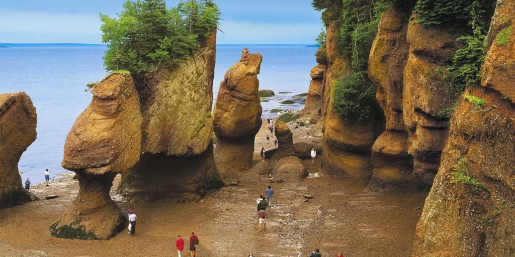 trw Canada Hopewell Rocks 28