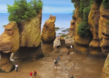 trw Canada Hopewell Rocks 28