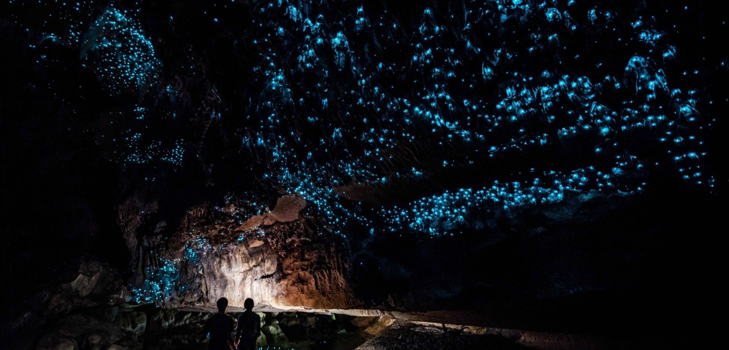Top New Zealand Attractions: 25 Places to Explore | Travel Rethink Ways 14 New-Zeeland-Waitomo