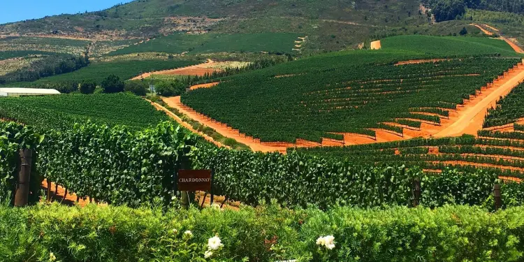 SouthAfrica Stellenbosch