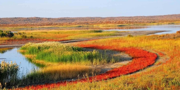 Uzbekistan Attractions: 30 Stunning Places & Silk Road Experiences You Must Visit | Travel Rethink Ways 23 travel-rethink-ways