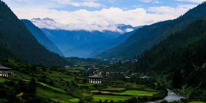 Bhutan Attractions: 30 Peaceful Places To Explore| Travel Rethink Ways 27 Botanical-Garden-Lamperi.