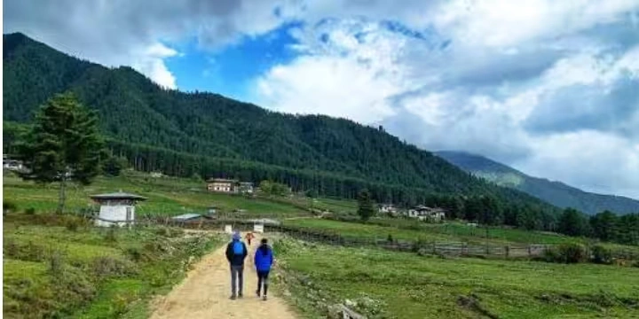 Bhutan Attractions: 30 Peaceful Places To Explore| Travel Rethink Ways 19 Gangtey-Nature-Trail.