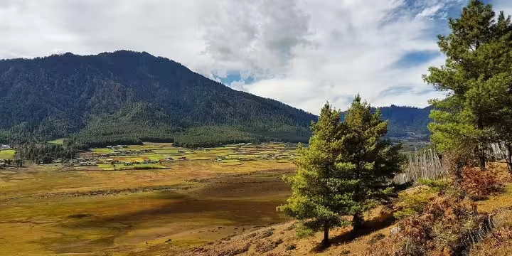 Bhutan Attractions: 30 Peaceful Places To Explore| Travel Rethink Ways 15 -Necked-Crane-Center.