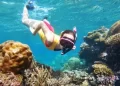 Great-Astrolabe-Reef