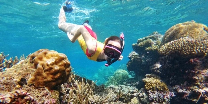 Fiji Attractions: 30 Best Places To Visit in Fiji | Travel Rethink Ways 12 Great-Astrolabe-Reef