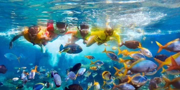 Fiji Attractions: 30 Best Places To Visit in Fiji | Travel Rethink Ways 14 Rainbow-Reef